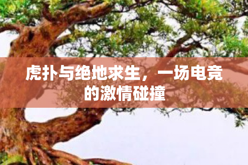 虎扑与绝地求生，一场电竞的激情碰撞
