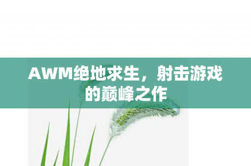 AWM绝地求生，射击游戏的巅峰之作