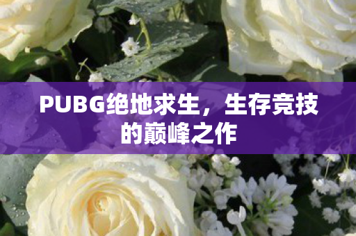 PUBG绝地求生，生存竞技的巅峰之作