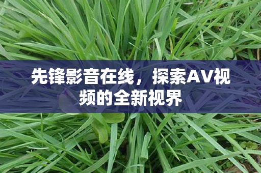 先锋影音在线，探索AV视频的全新视界