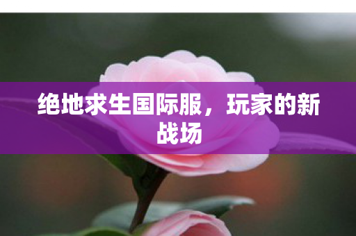 绝地求生国际服，玩家的新战场