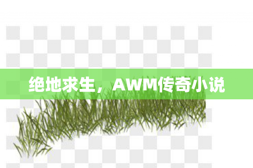 绝地求生，AWM传奇小说