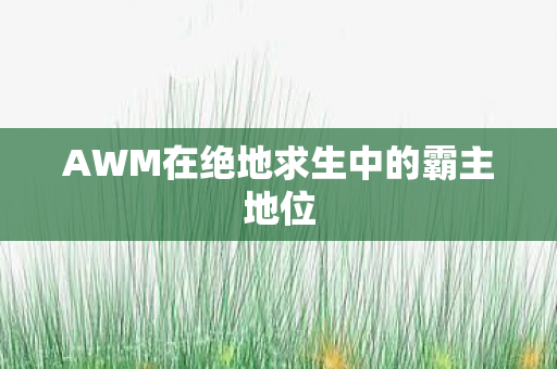 AWM在绝地求生中的霸主地位