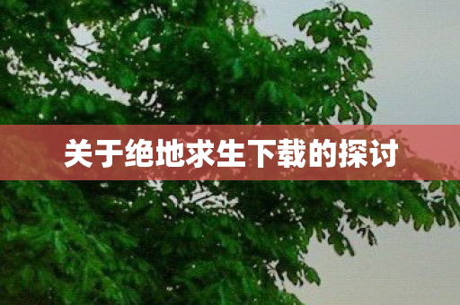 关于绝地求生下载的探讨