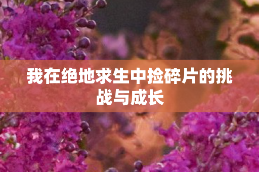 我在绝地求生中捡碎片的挑战与成长 我在绝地求生中捡碎片的挑战与成长