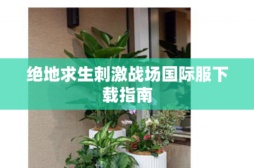 绝地求生刺激战场国际服下载指南