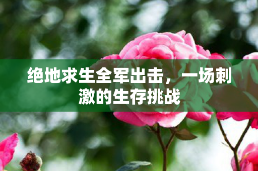 绝地求生全军出击，一场刺激的生存挑战