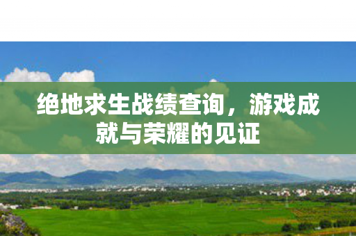 绝地求生战绩查询，游戏成就与荣耀的见证