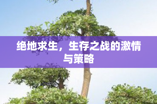 绝地求生，生存之战的激情与策略