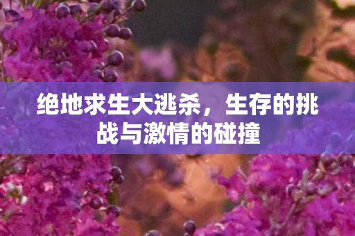 绝地求生大逃杀，生存的挑战与激情的碰撞