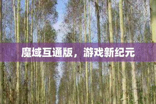 魔域互通版，游戏新纪元