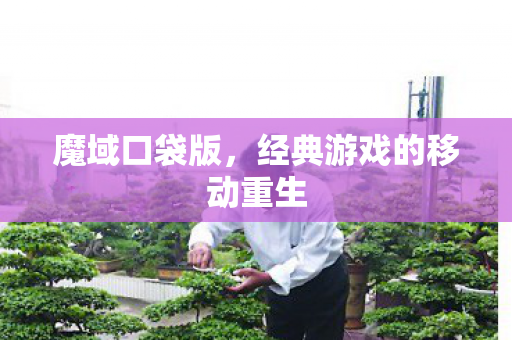 魔域口袋版,经典游戏的移动重生 魔域口袋版,经典游戏的移动重生