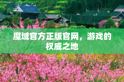 魔域官方正版官网，游戏的权威之地