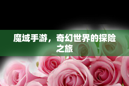 魔域手游，奇幻世界的探险之旅