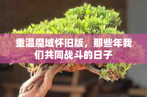 重温魔域怀旧版，那些年我们共同战斗的日子