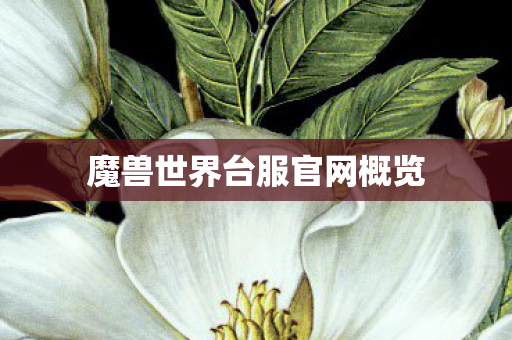 魔兽世界台服官网概览