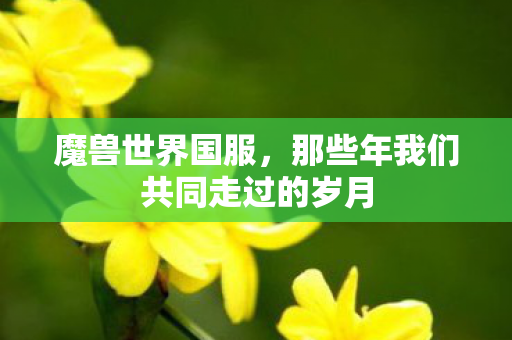 魔兽世界国服，那些年我们共同走过的岁月