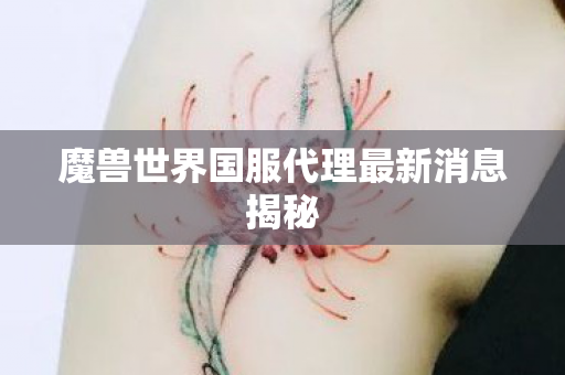 魔兽世界国服代理最新消息揭秘