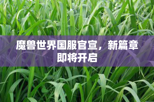 魔兽世界国服官宣,新篇章即将开启 魔兽世界国服官宣,新篇章即将开启