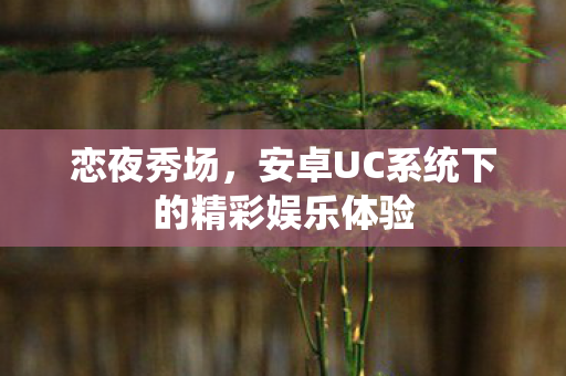恋夜秀场，安卓UC系统下的精彩娱乐体验