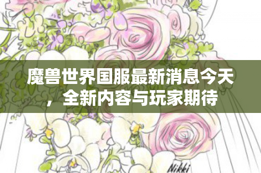 魔兽世界国服最新消息今天，全新内容与玩家期待