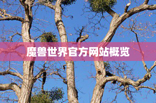 魔兽世界官方网站概览