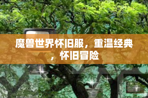魔兽世界怀旧服，重温经典，怀旧冒险
