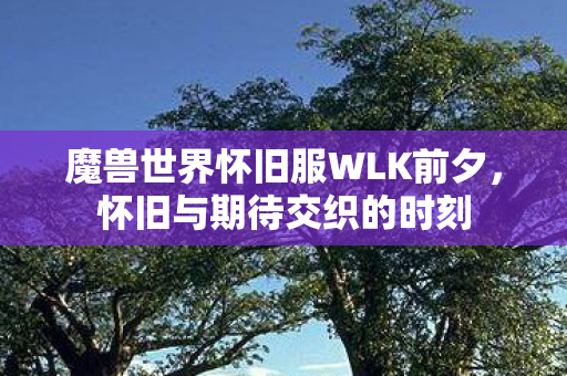 魔兽世界怀旧服WLK前夕，怀旧与期待交织的时刻