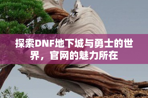 探索DNF地下城与勇士的世界，官网的魅力所在