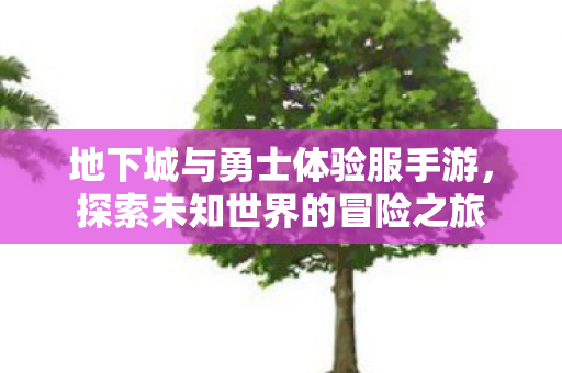 地下城与勇士体验服手游，探索未知世界的冒险之旅
