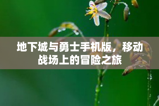 地下城与勇士手机版，移动战场上的冒险之旅