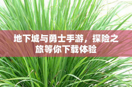 地下城与勇士手游，探险之旅等你下载体验