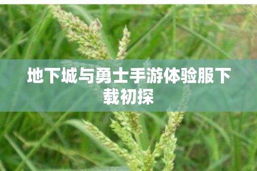 地下城与勇士手游体验服下载初探 地下城与勇士手游体验服下载初探