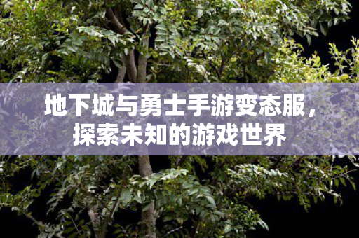 地下城与勇士手游变态服，探索未知的游戏世界