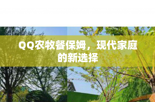 QQ农牧餐保姆，现代家庭的新选择