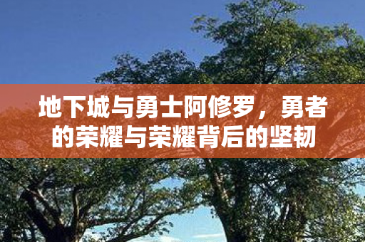 地下城与勇士阿修罗,勇者的荣耀与荣耀背后的坚韧 地下城与勇士阿修罗,勇者的荣耀与荣耀背后的坚韧