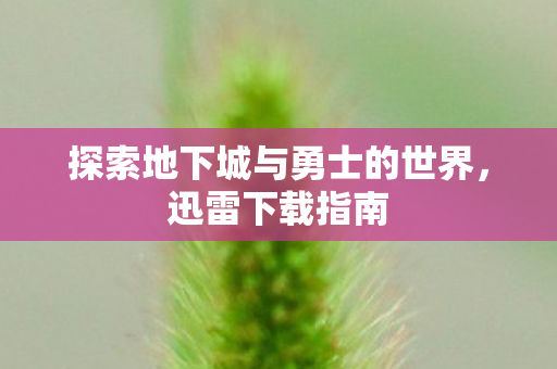 探索地下城与勇士的世界，迅雷下载指南