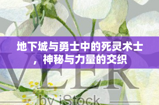 地下城与勇士中的死灵术士，神秘与力量的交织