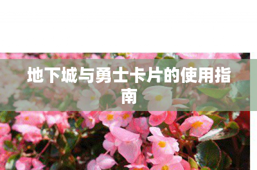 地下城与勇士卡片的使用指南