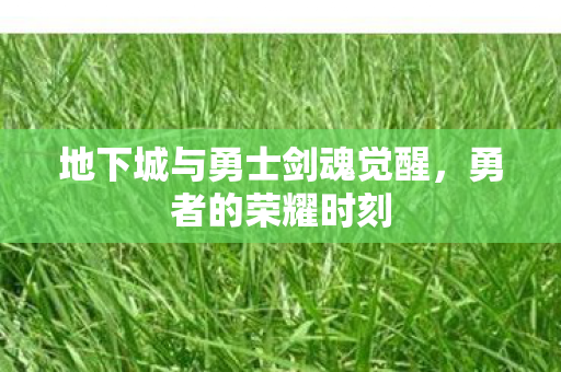 地下城与勇士剑魂觉醒，勇者的荣耀时刻