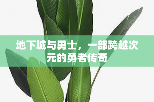 地下城与勇士，一部跨越次元的勇者传奇