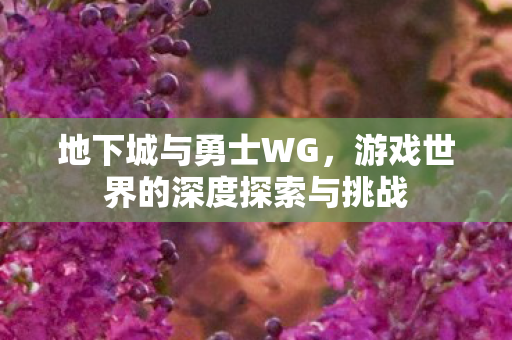 地下城与勇士WG，游戏世界的深度探索与挑战