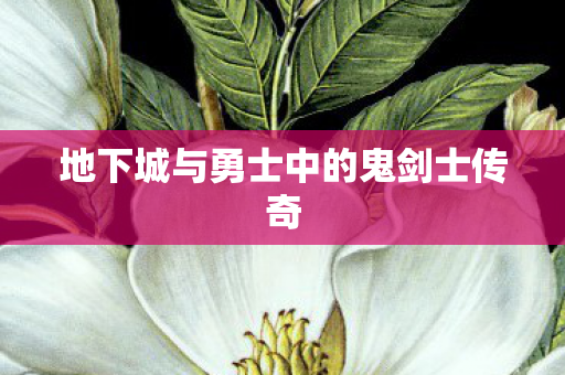 地下城与勇士中的鬼剑士传奇 地下城与勇士中的鬼剑士传奇