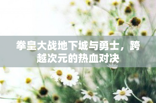 拳皇大战地下城与勇士，跨越次元的热血对决