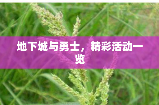 地下城与勇士，精彩活动一览