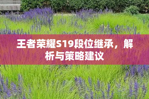 王者荣耀S19段位继承，解析与策略建议