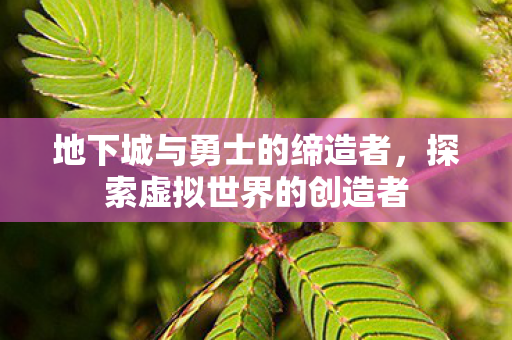 地下城与勇士的缔造者，探索虚拟世界的创造者