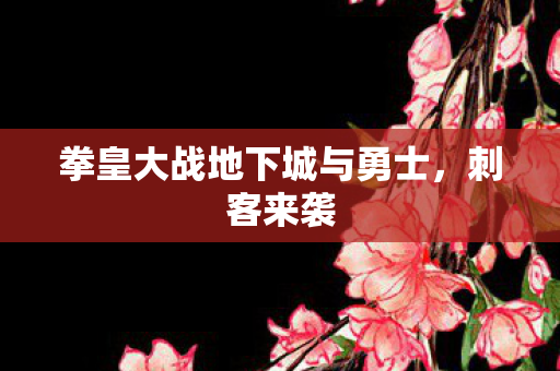 拳皇大战地下城与勇士，刺客来袭