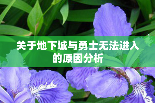 关于地下城与勇士无法进入的原因分析