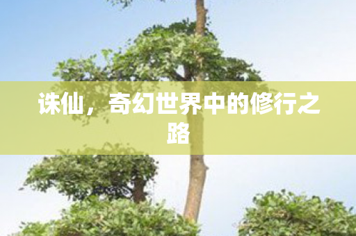 诛仙，奇幻世界中的修行之路